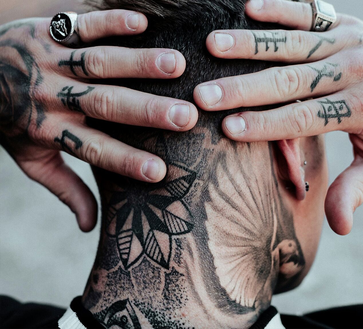 Tatuaggio oldschool con farfalla colorata